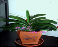 u=927194859,3866300417&fm=21&gp=0
